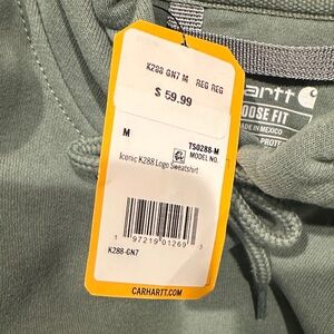 Carhartt Sage Green Hooded Logo Sweatshirt